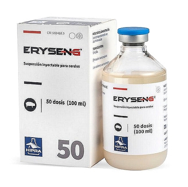 Erysipelas Rhusiopathiae Vaccine