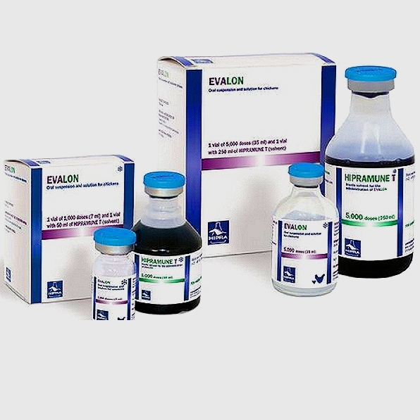 Eimeria Brunetti Vaccine