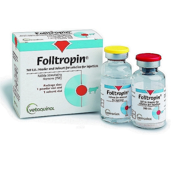 Follicle Stimulating Hormone