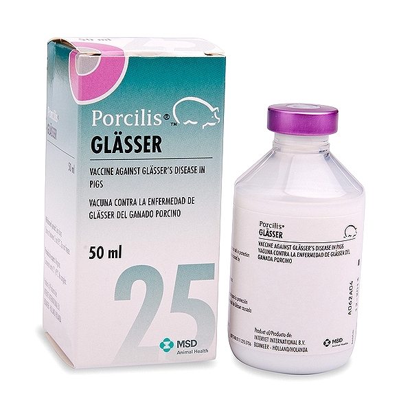 Glasserella Parasuis Vaccine