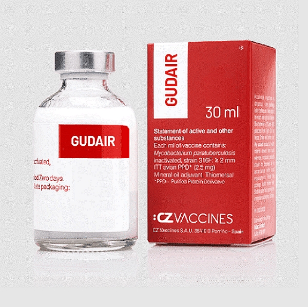 Mycobacterium Paratuberculosis Vaccine