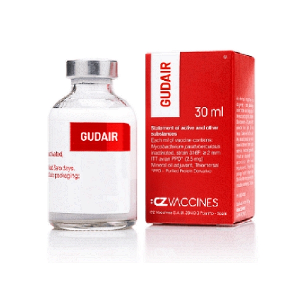 Mycobacterium Paratuberculosis Vaccine