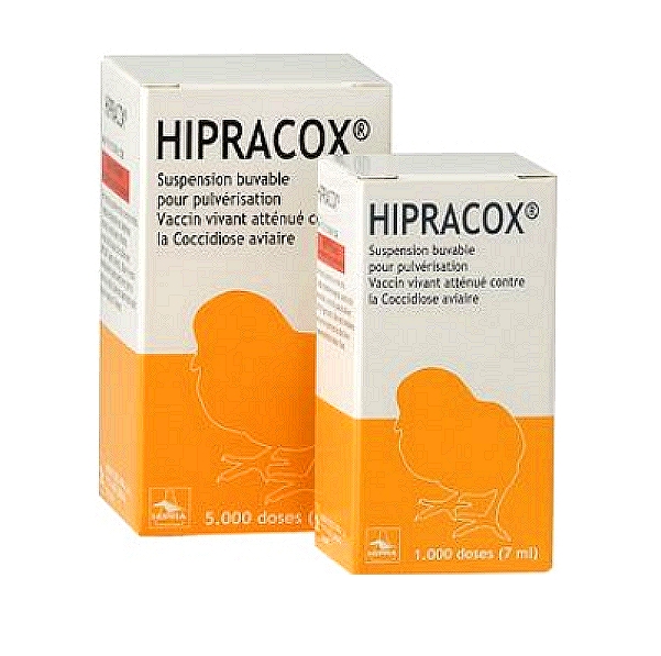 Eimeria Mitis Vaccine