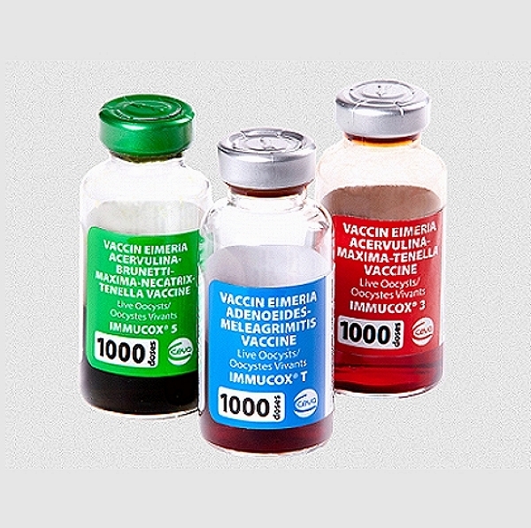 Eimeria Brunetti Vaccine (Copy)