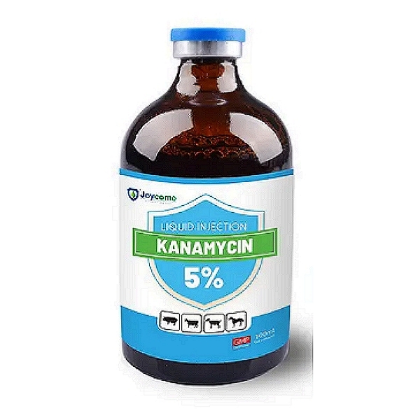 Kanamycin