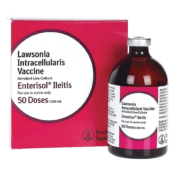 Lawsonia Intracellularis Vaccine