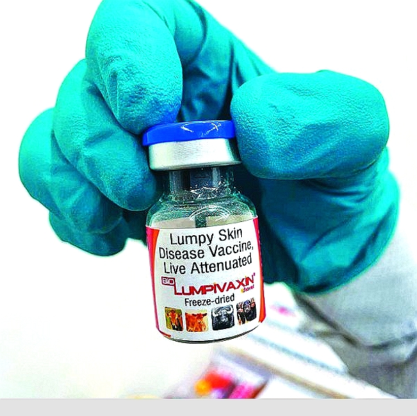 Lumpy Skin Disease Vaccine