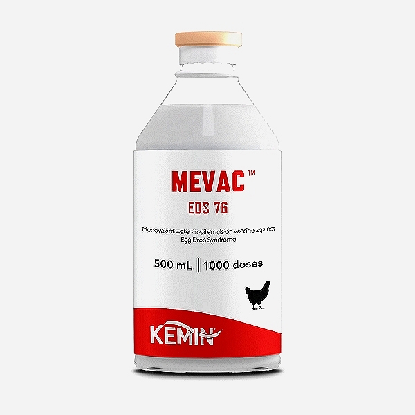 Egg Drop Syndrome 76 Virus Vaccine