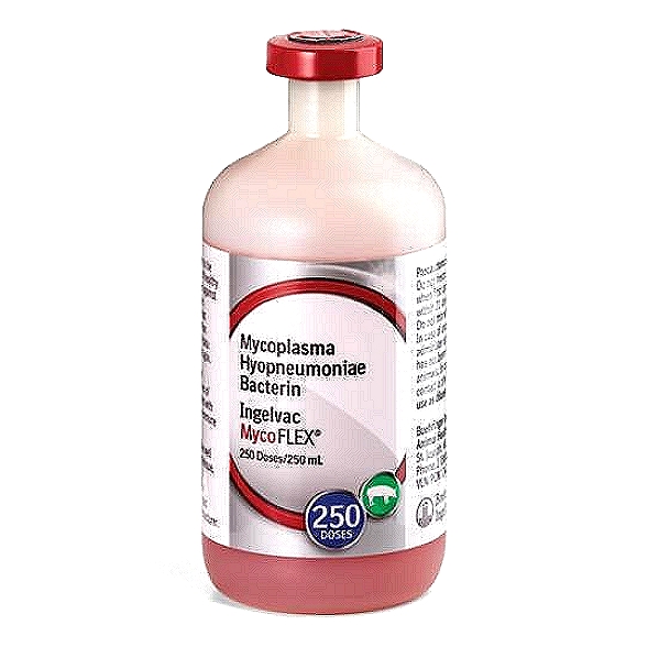Mycoplasma Hyopneumoniae Vaccine