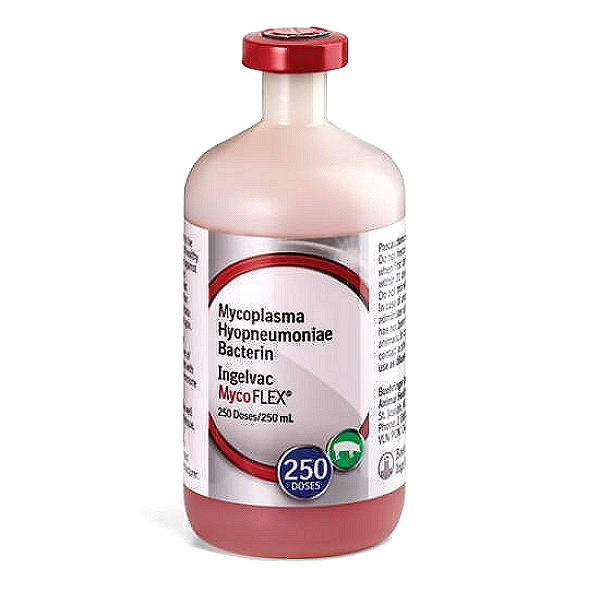 Mycoplasma Hyopneumoniae Vaccine