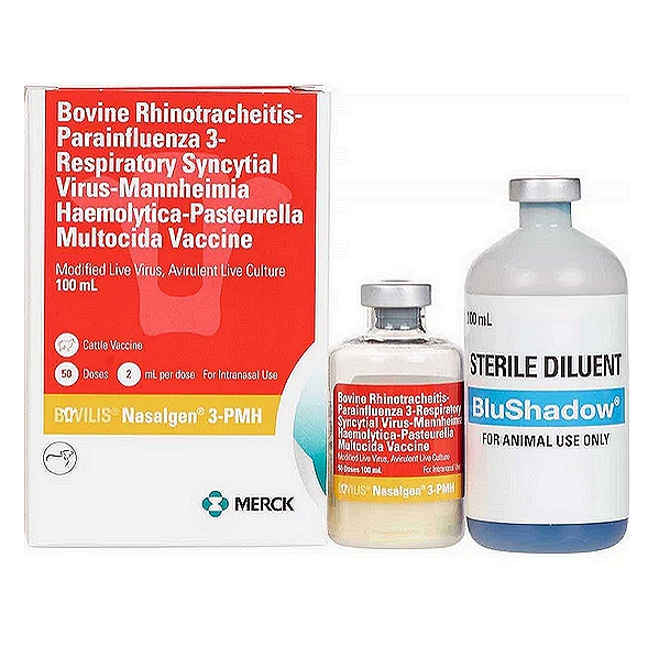 Paramyxovirus 3 Vaccine
