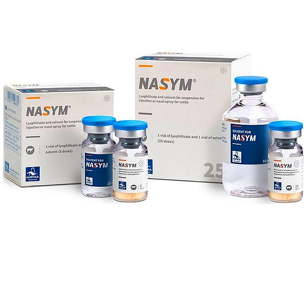 Bovine respiratory syncytial virus