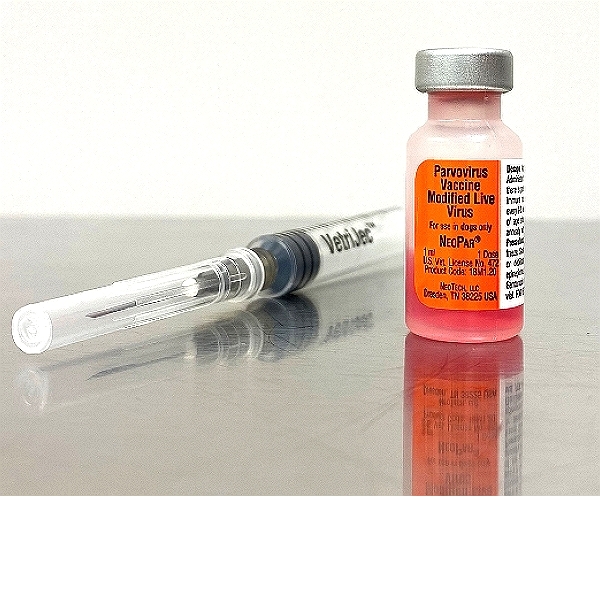 Parvovirus 1 Vaccine