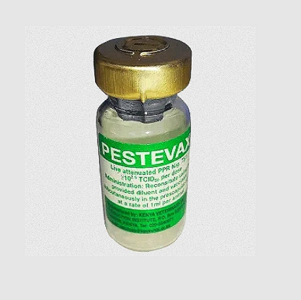 Ovine Pasteurellosis Vaccine