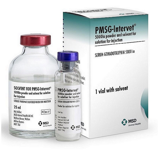Pregnant mare serum gonadotropin (PMSG)
