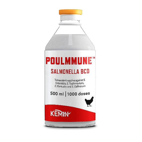Salmonella Enteritidis Vaccine