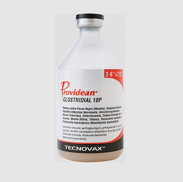 Clostridium Septicum Vaccine