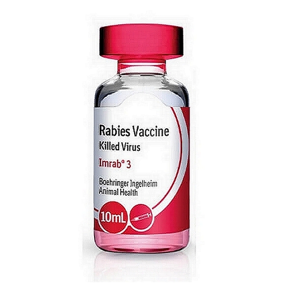 Rabies Virus Vaccine