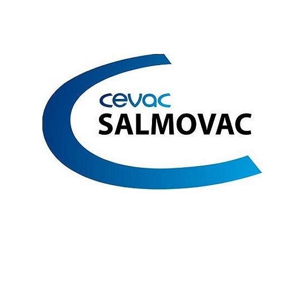 Salmonella Enteritidis Vaccine