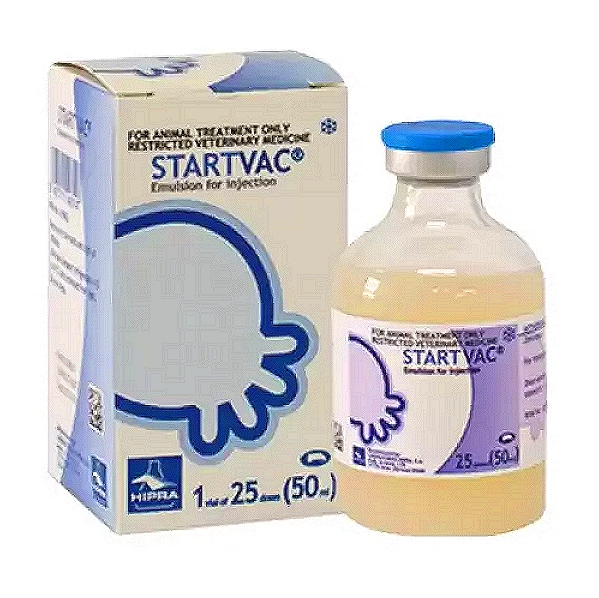 Mastitis – Staph. Aureus Vaccine