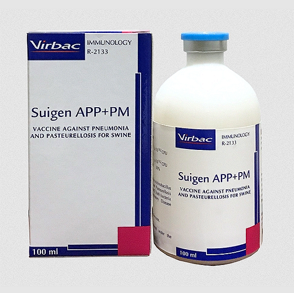 Actinobacillus Pleuropneumonia Vaccine