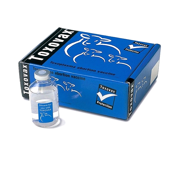 Toxoplasmosis Vaccine