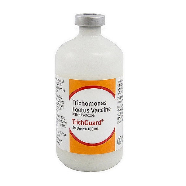 Trichomonosis Vaccine
