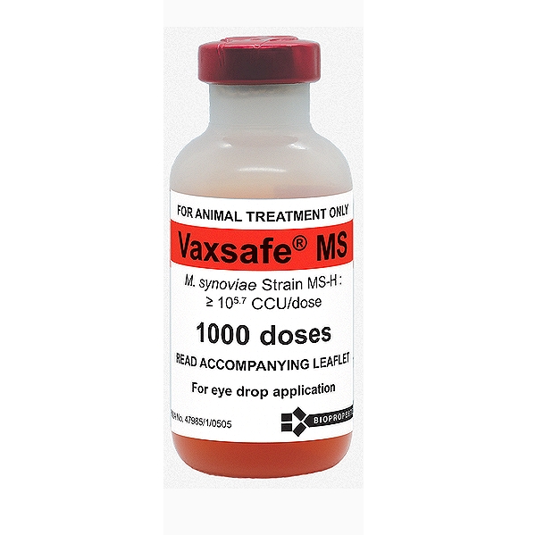 Mycoplasma Synoviae Vaccine