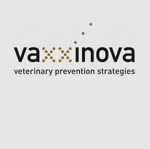 Salmonella Kentucky Vaccine