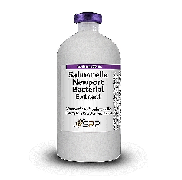 Salmonella Vaccine
