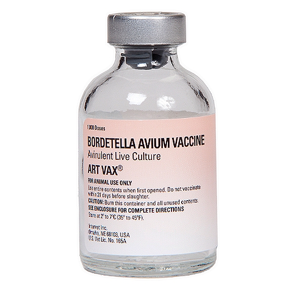 Bordetella Avium Vaccine