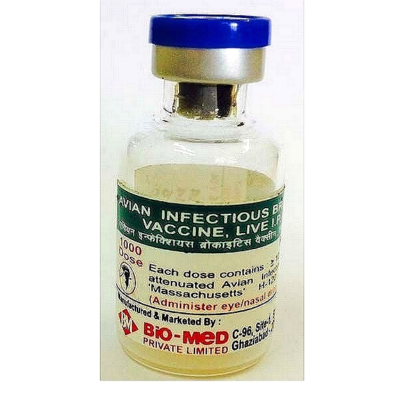 Infectious Bronchitis Virus Vaccine