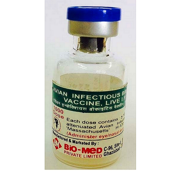 Infectious Bronchitis Virus Vaccine