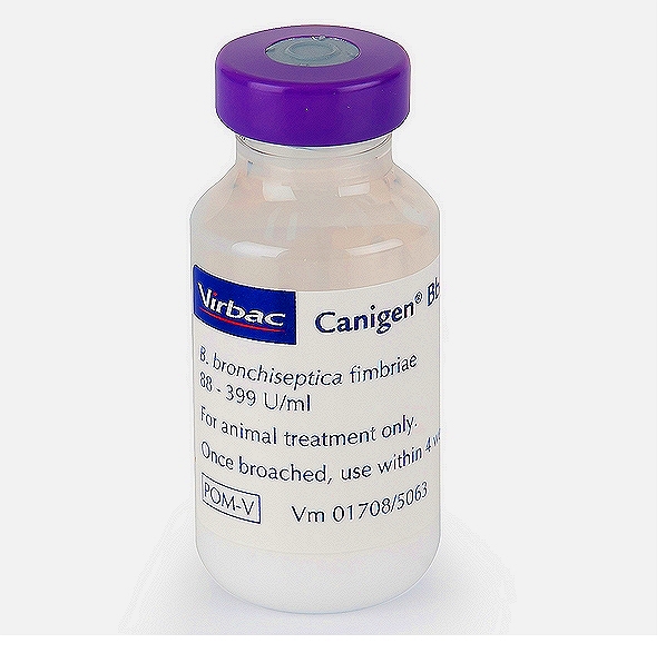 Bordetella Avium Vaccine