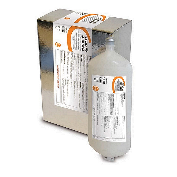 Infectious Bronchitis Virus Vaccine