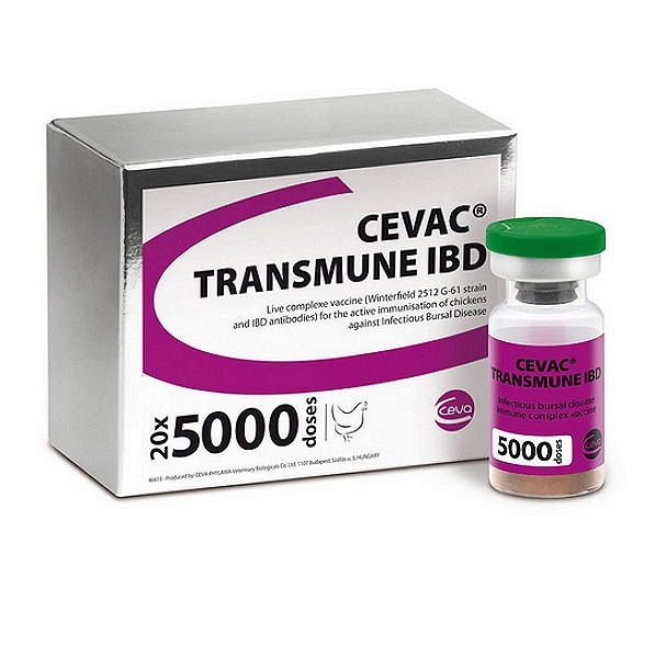 Infectious Bursal Disease Virus (IBD) Vaccine (Copy)