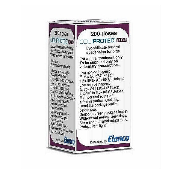 Escherichia Coli Vaccine