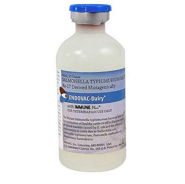 Salmonella Typhimurium Vaccine