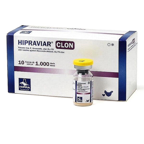 Newcastle Disease Virus Vaccine