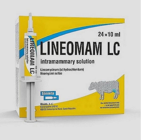 Lincomycin & Neomycin