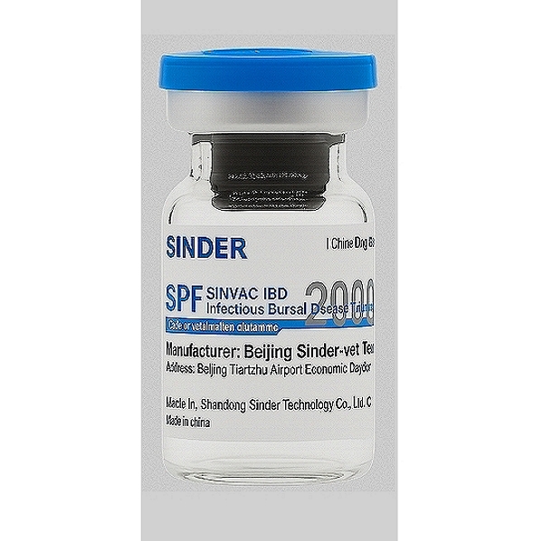 Infectious Bursal Disease Virus (IBD) Vaccine