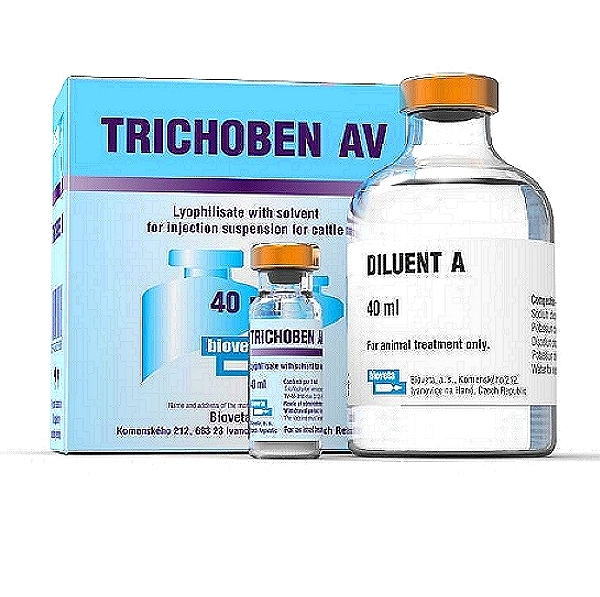 Trichophyton Verrucosum Vaccine