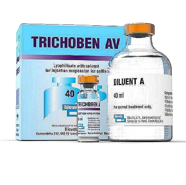 Trichophyton Verrucosum Vaccine