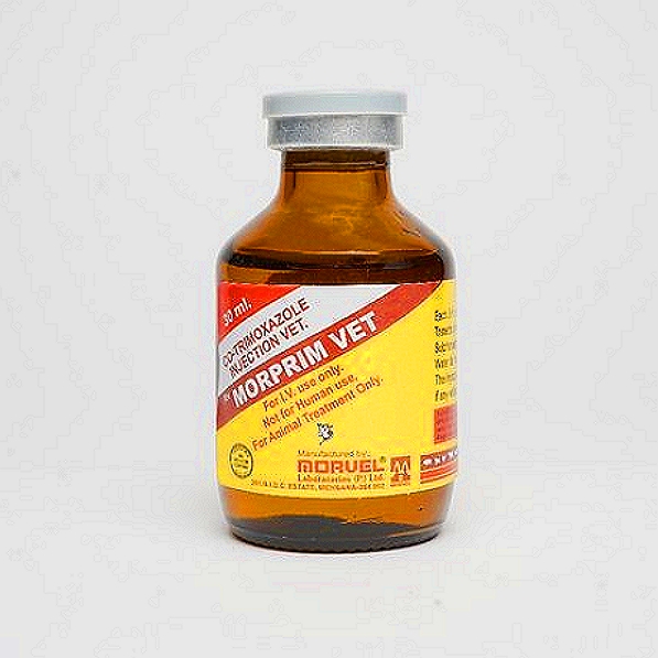 Trimethoprim + Sulfonamide