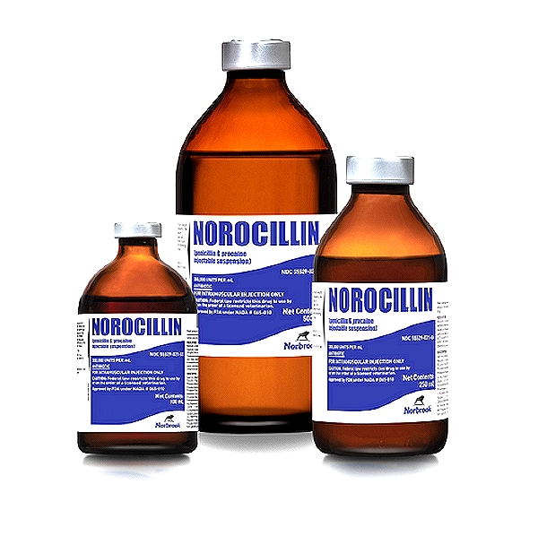 Procaine Penicillin G