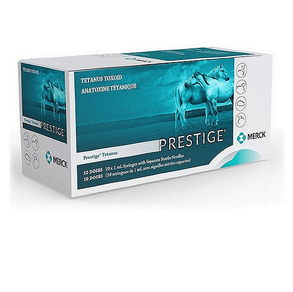 Tetanus Toxoid Vaccine