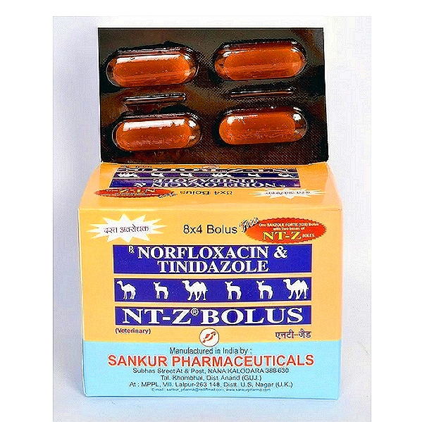 Tinidazole (component)